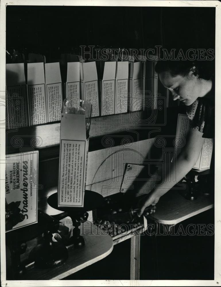 1944 Press Photo Packaging Frozen Strawberries at University of Tennessee - Historic Images