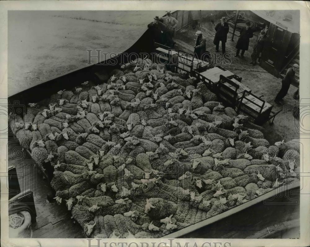 1932 Press Photo Lincolnshire England flock of sheep - Historic Images