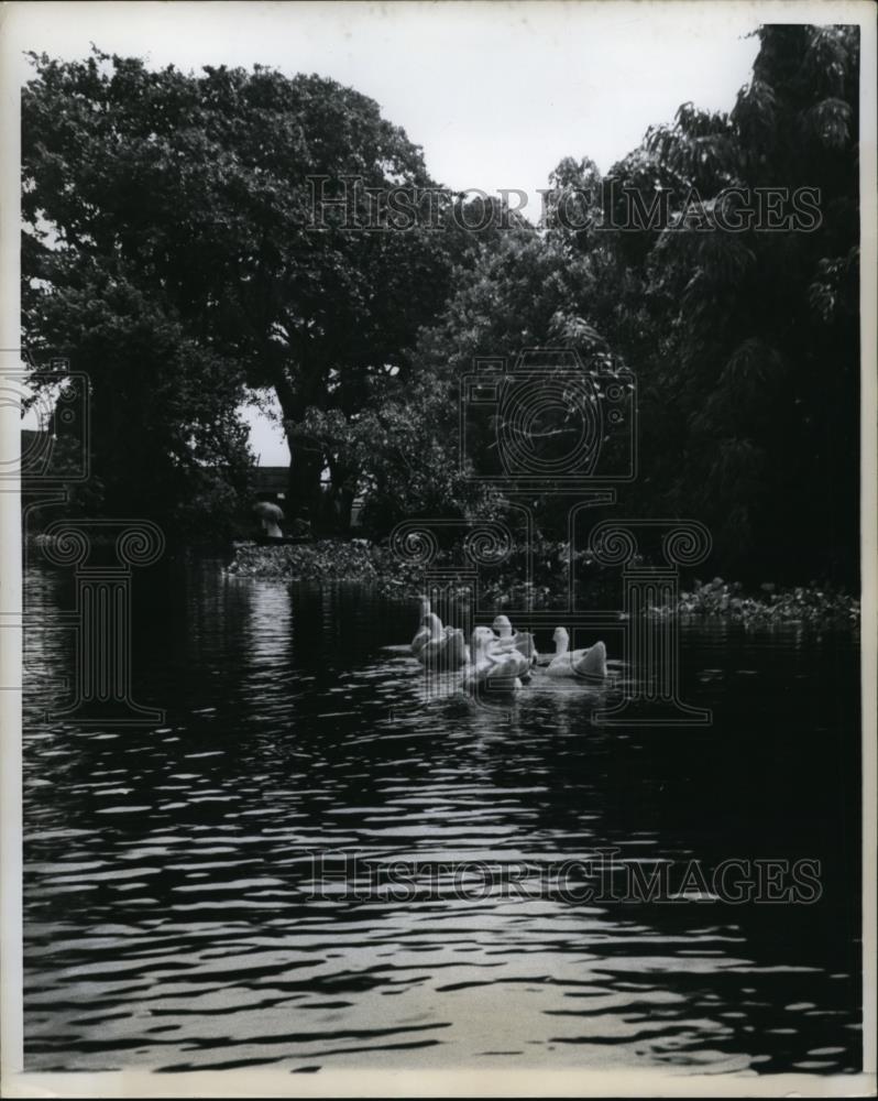 1906 Press Photo When water is normal like this the east Pakistan people relax. - Historic Images