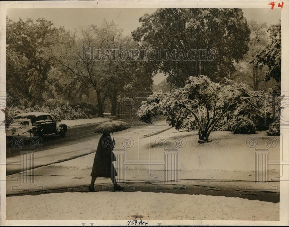 1945 Press Photo Woman with Umbrella in Snowstorm in Albany New YOrk - nee56556 - Historic Images