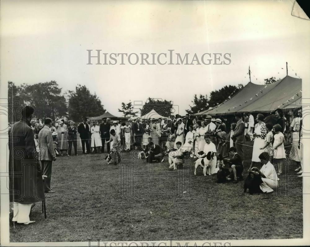 1936 Press Photo Kennel Show Monmouth County Childrens handling class - Historic Images