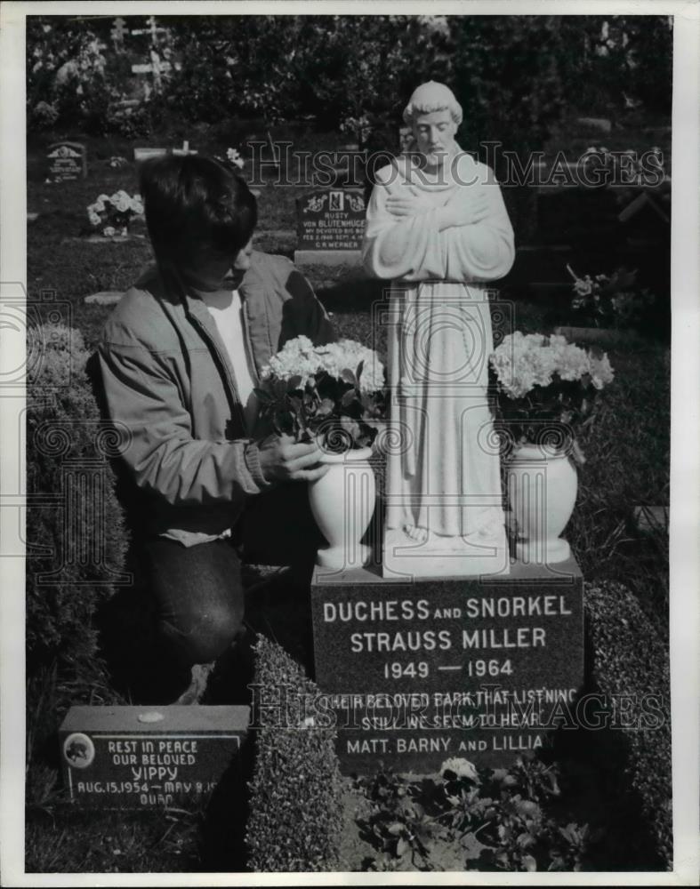 1972 Press Photo Thomas Smith Pet Cemetery St. Francis Headstone - nee51552 - Historic Images