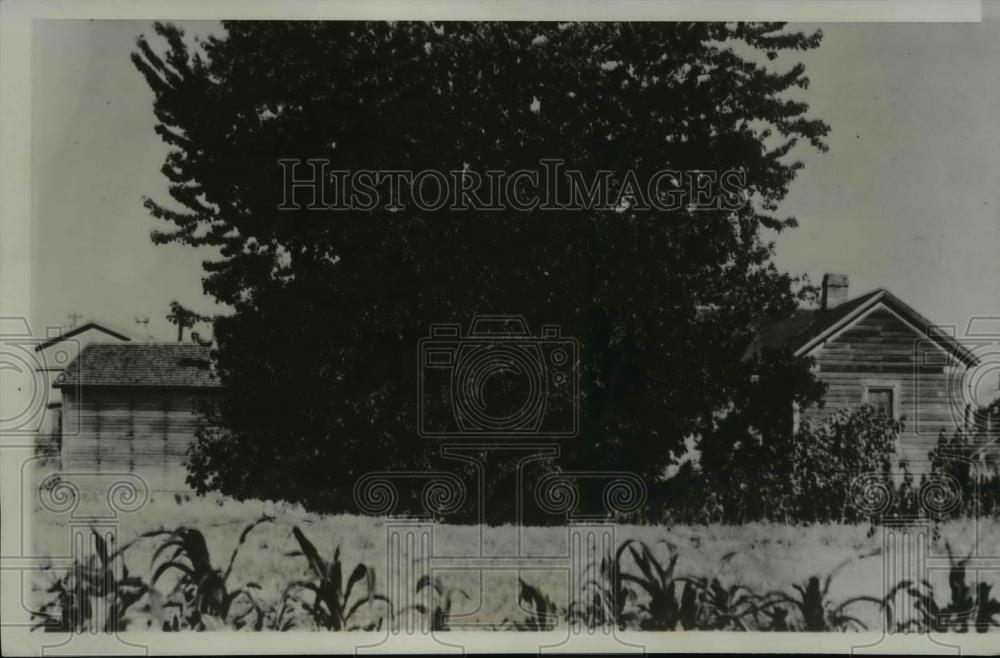 1934 Press Photo 88 year old Marietta Bishop died in Jan 1932. Daughter hid body - Historic Images