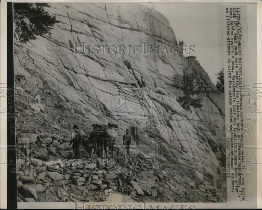 1950 Press Photo Rescue Workers Harold Gates, Eddie Diez body of Stephen - Historic Images