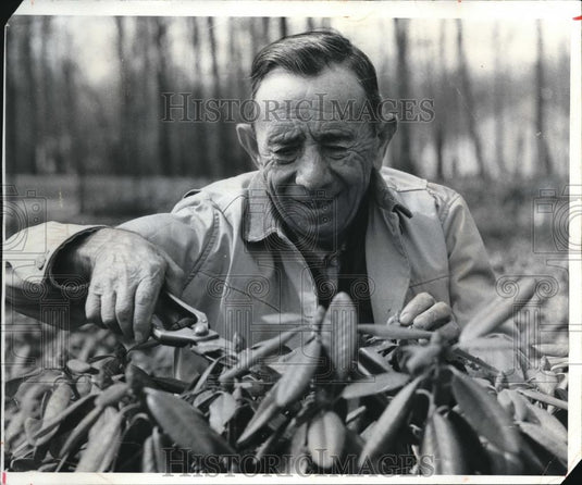 1972 Press Photo Tony Shammerells with the rhodendrous - Historic Images