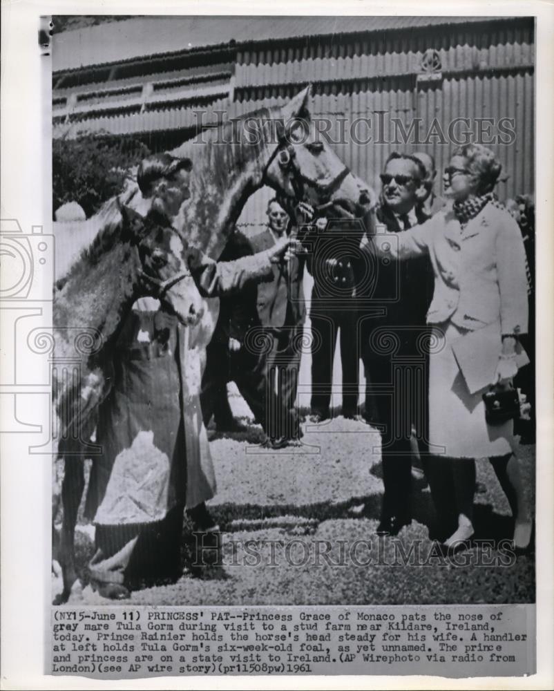 1961 Press Photo Princess Grace of Monaco pats the nose of gray mare Tula Gorm - Historic Images