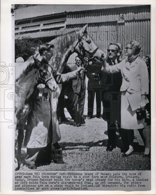 1961 Press Photo Princess Grace of Monaco pats the nose of gray mare Tula Gorm - Historic Images