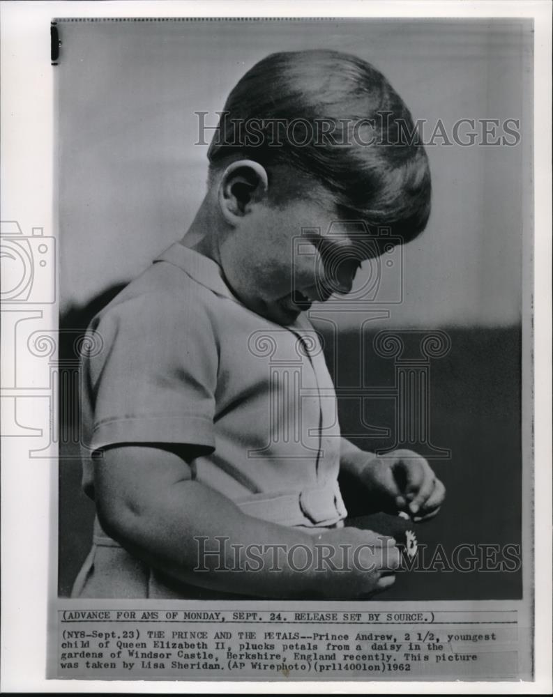 1962 Press Photo Prince Andrew, youngest child of Queen Elizabeth II - Historic Images