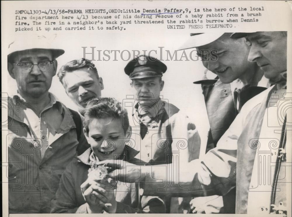 1958 Press Photo Dennis Peffer With Rabbit He Rescued from Brush Fire - Historic Images