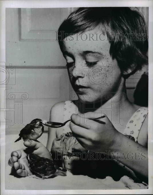 1962 Press Photo Minneapolis: Patricia Schmoller with rescued baby sparrows - Historic Images