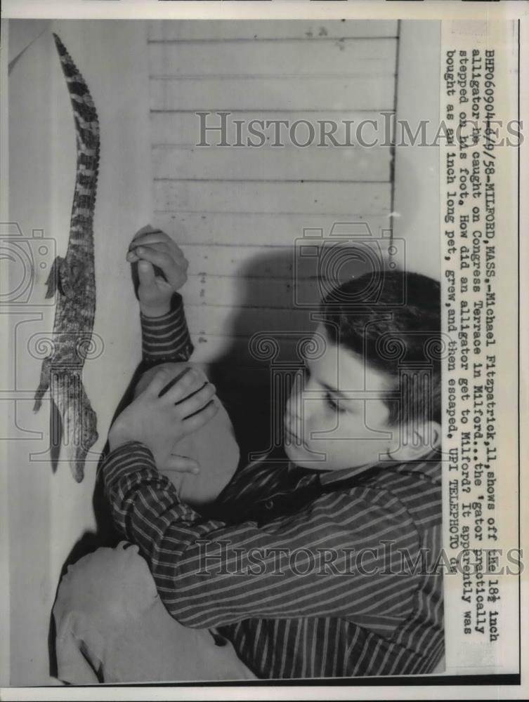 1958 Press Photo Milford Mass Michael Fitzpatrick shows off his alligator - Historic Images