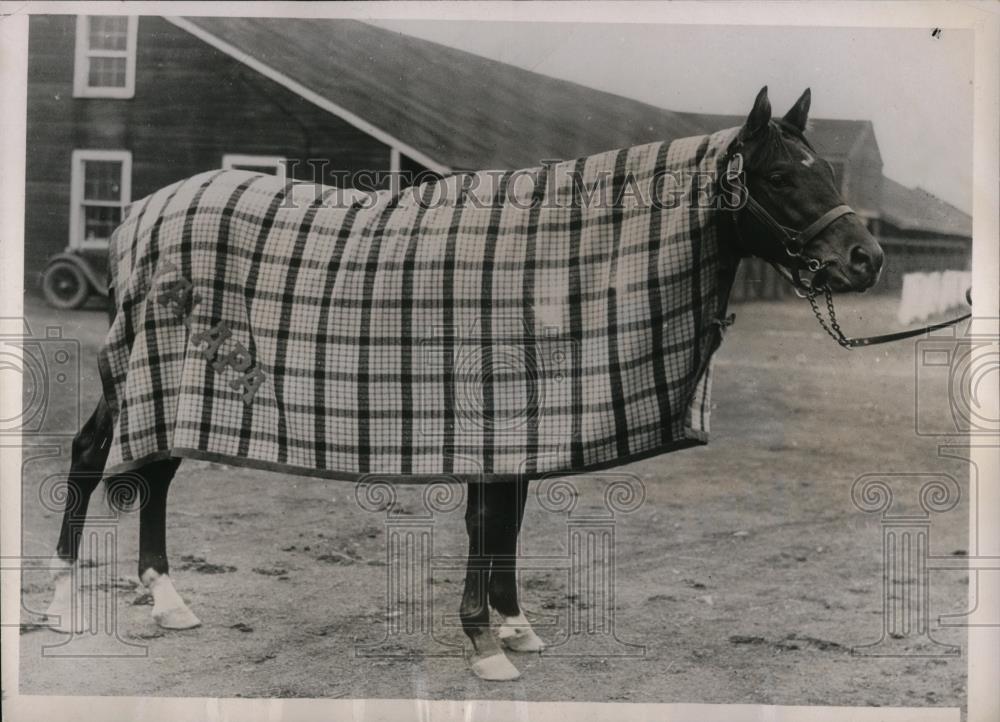 1936 Press Photo Kentucky Derby horse Silas owned by Mrs B Franzheim - nes33474 - Historic Images