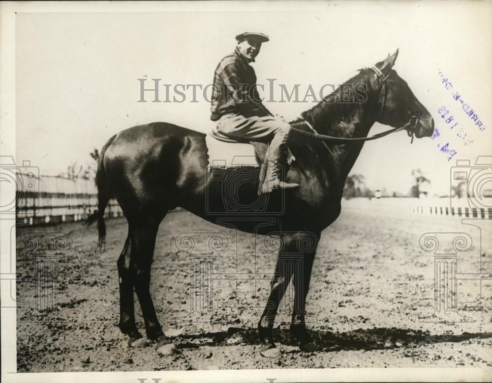 1929 Press Photo Scarlet Brigade candidate for Lentucky Derby - nes33403 - Historic Images