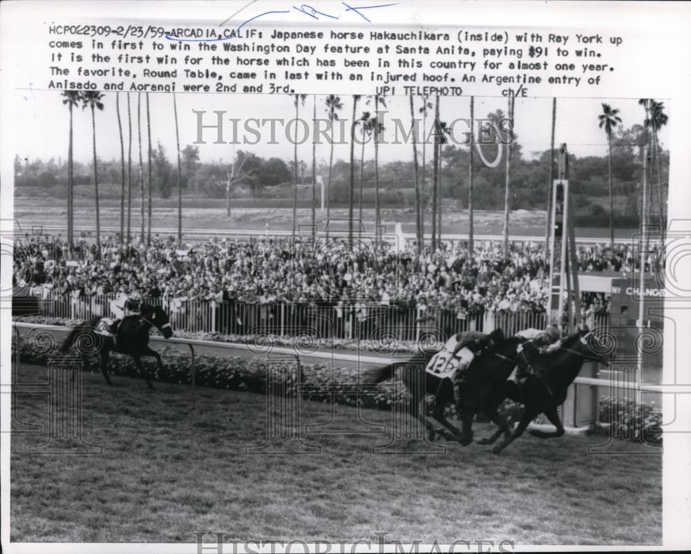 1959 Press Photo Ray York on Hakauchikara wins Washington Day race at Arcadia Ca - Historic Images