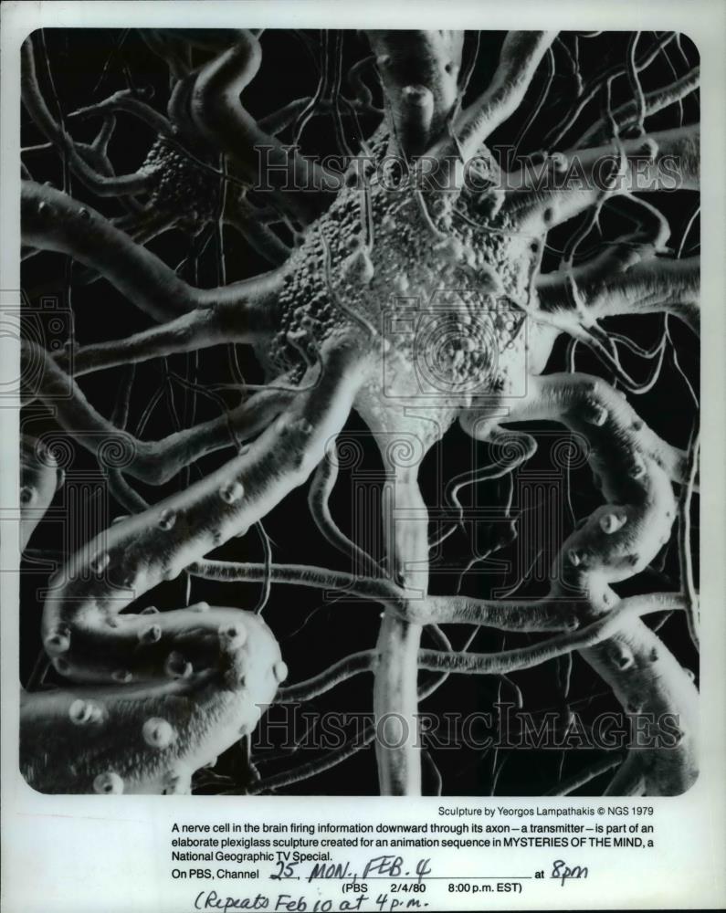 1980 Press Photo Mysteries Of The Mind - cvp35344 - Historic Images