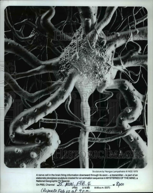 1980 Press Photo Mysteries Of The Mind - cvp35344 - Historic Images