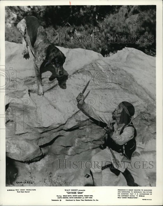 1963 Press Photo Savage Sam - cvp40129 - Historic Images