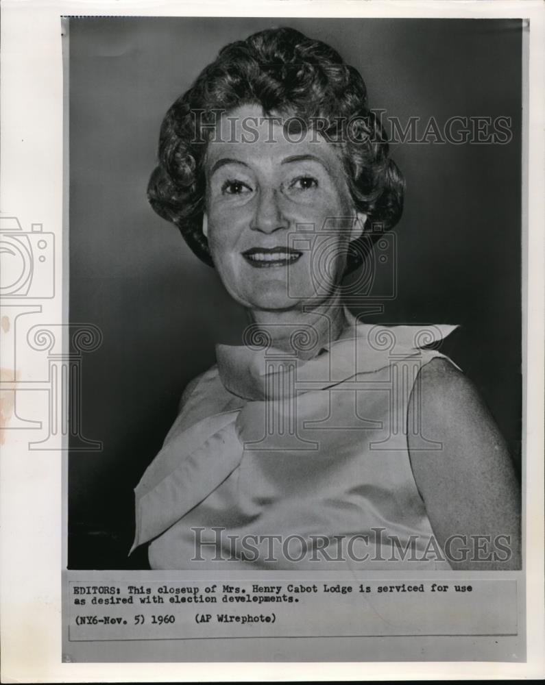 1969 Wire Photo Mrs. Henry Cabot Lodge painting - cvw03214 - Historic Images