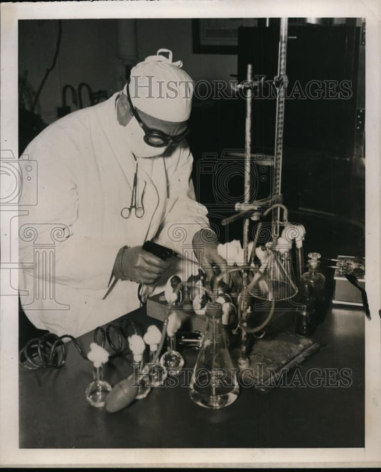 1939 Press Photo Veterinarians of the US Dept of Ag tests on chicken embryo - Historic Images