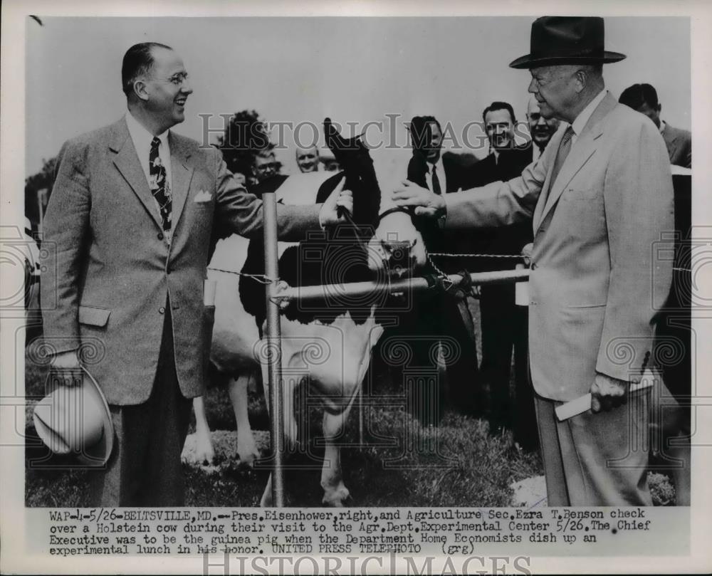 1953 Press Photo President Eisenhower Ezra T Benson &amp; Holstein Cow in Beltsville - Historic Images