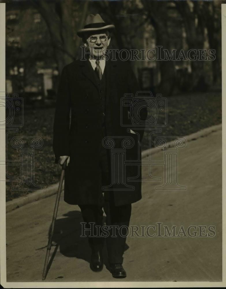 1925 Press Photo Congressman Martin B Maddew of Illinois House Appropriations - Historic Images