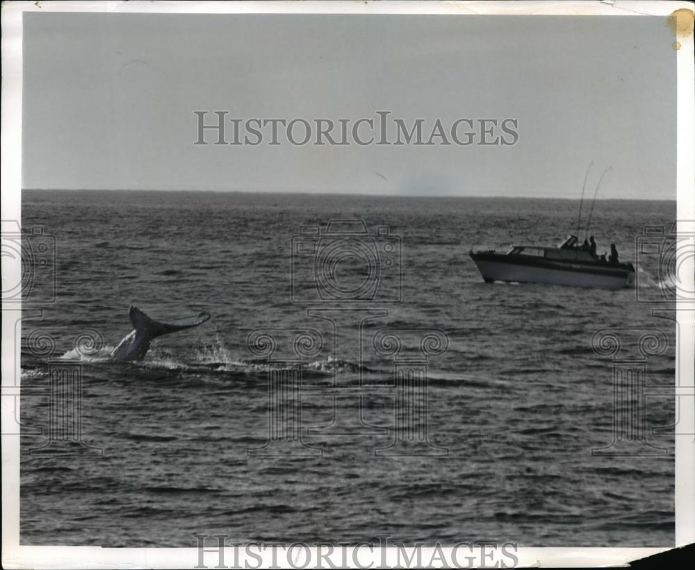 1962 Press Photo Surf Sea Fishing - Historic Images