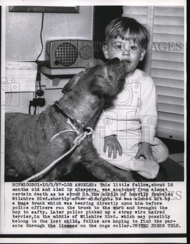 1957 Press Photo 18 Month Old Standing in Road &amp; Found Dog Close By - Historic Images