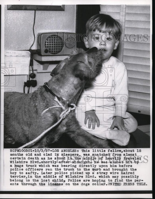 1957 Press Photo 18 Month Old Standing in Road & Found Dog Close By - Historic Images