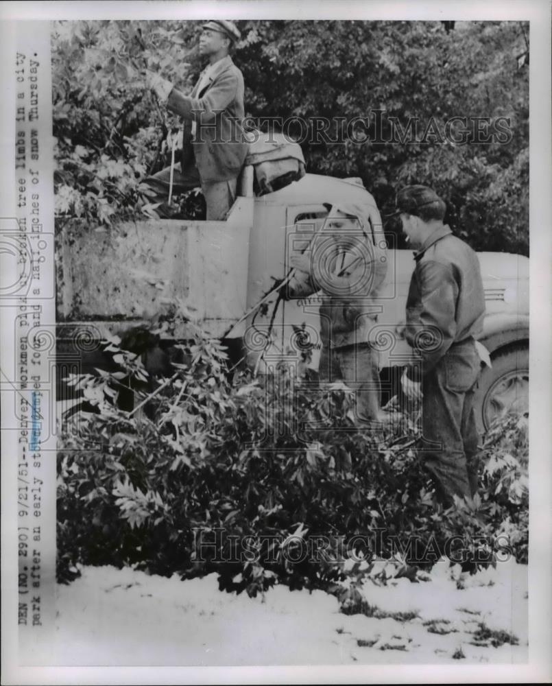 1951 Press Photo Denver workmen pick up broken tree limbs in city park - Historic Images