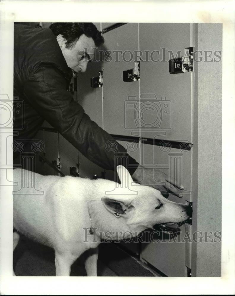 1987 Press Photo Drug Sniffing Dogs Checking Storage Lockers - cva76179 - Historic Images