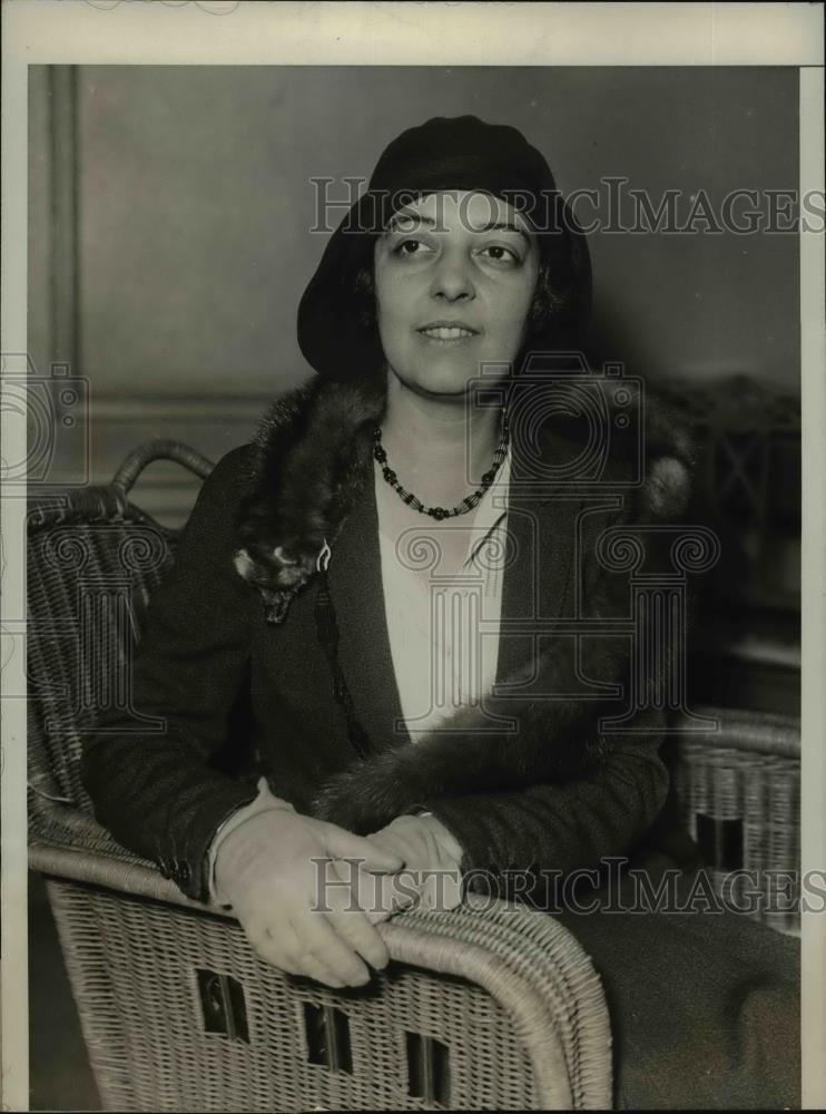 1930 Press Photo Helen W.Laiimbeer,Associate Leader of 15th Assembly Dist. of NY - Historic Images