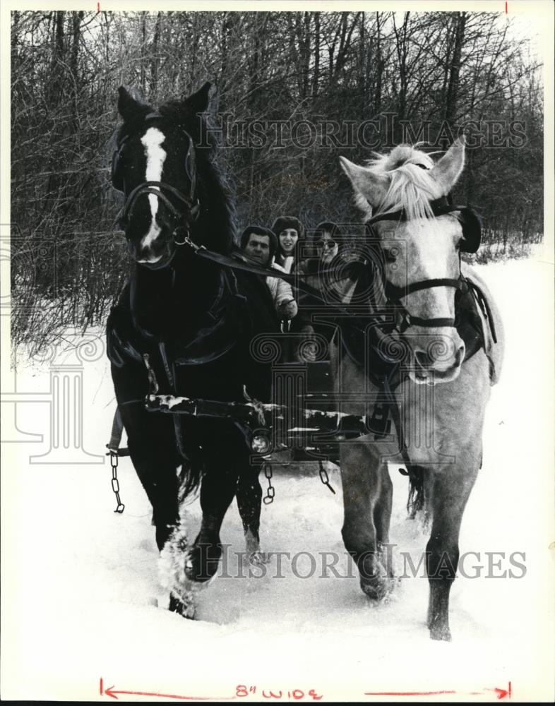 1982 Press Photo Beauty and Margaret pull a sleigh full of Fred Schneider family - Historic Images