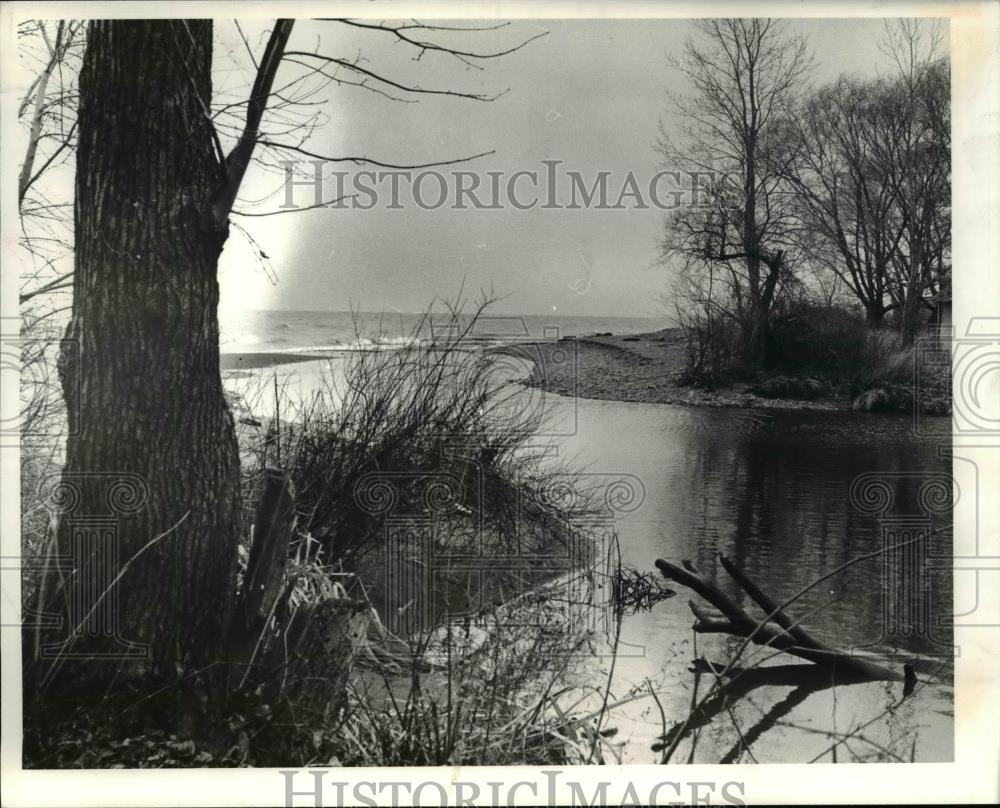 1980 Press Photo Madison Twshp Dock Rd, natural habitat Lake Cty Comminsrs - Historic Images