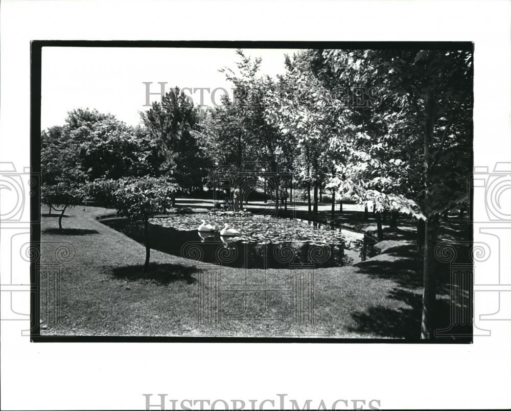 1987 Press Photo Ed. Stary and his garden in Sagamore Hills - cva86816 - Historic Images