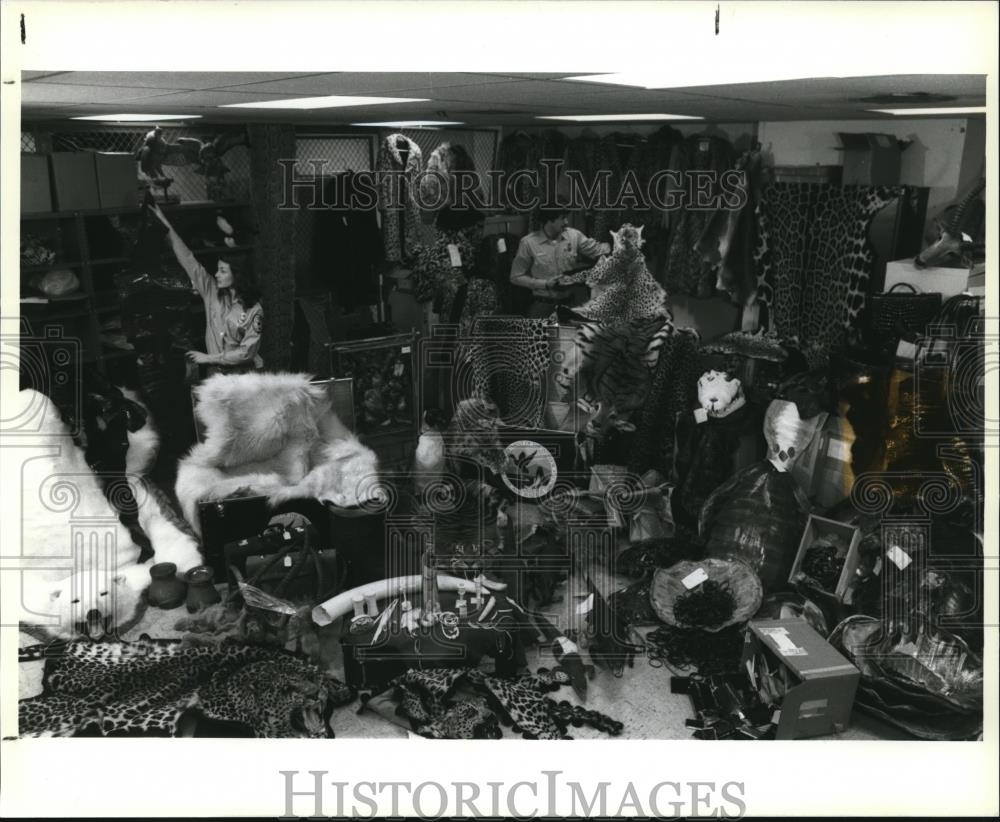 1989 Press Photo The confiscated wildlife products - cva83346 - Historic Images