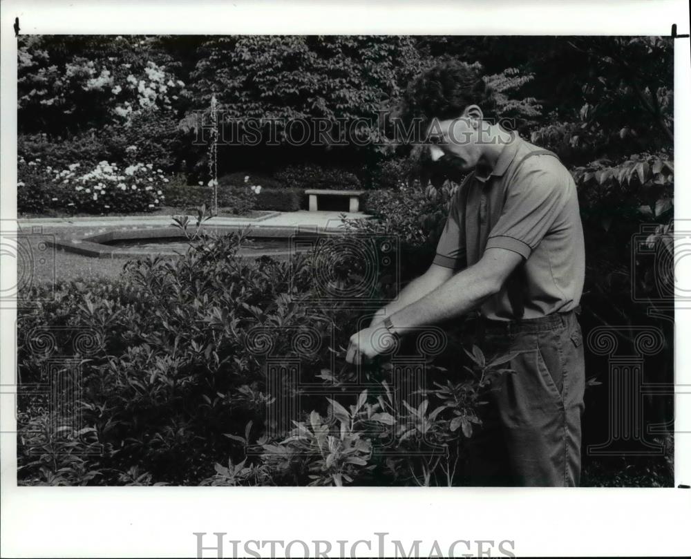 1989 Press Photo Mark Rochford - cvb01885 - Historic Images