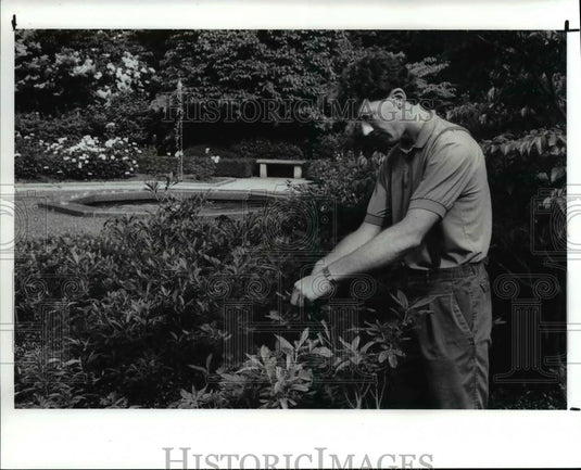 1989 Press Photo Mark Rochford - cvb01885 - Historic Images