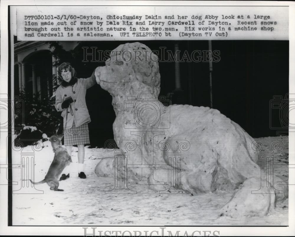 1960 Press Photo Dayton Ohio Sunday Dakin and her dog Abby check out snow lion - Historic Images