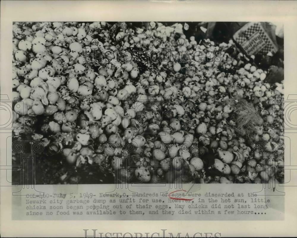 1949 Press Photo Hundreds of Eggs Discarded Starting Hatching in Heat in Newark - Historic Images