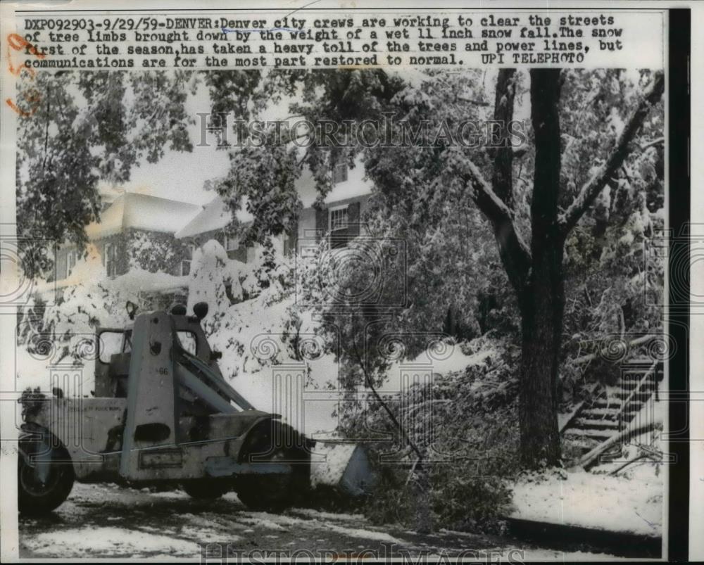 1959 Press Photo Denver City Crew Remove Tree Limbs Brought Down By snow - Historic Images