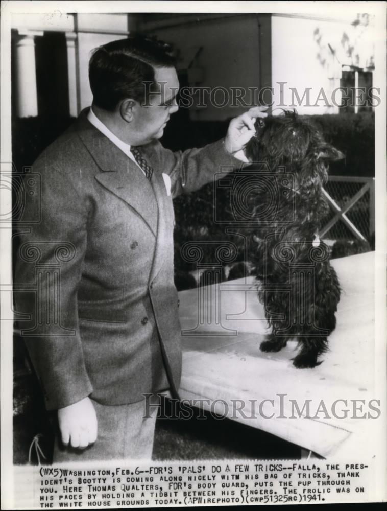 1941 Wire Photo The President Scotty is coming along nicely with his bag of - Historic Images