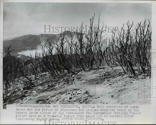 1956 Press Photo San Bernadino, California Fire swept damage - Historic Images