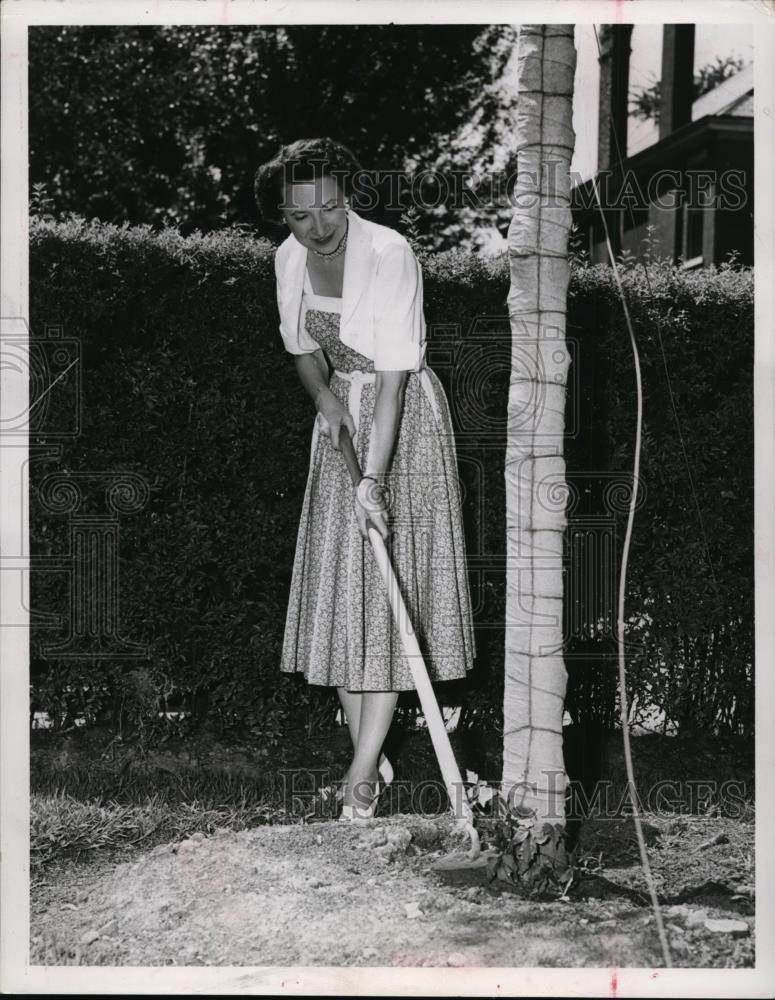 1953 Press Photo Jane Lausche, Wife Of Mayor – Historic Images