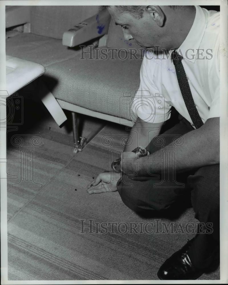 1962 Press Photo ARS Inspector Collects Dead Japanese Beetles from Plane Floor - Historic Images