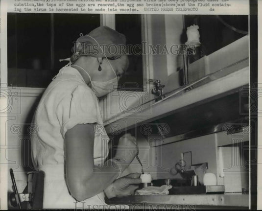 1957 Press Photo Medical lab worker at Pitman Moore Company labs - nee84051 - Historic Images
