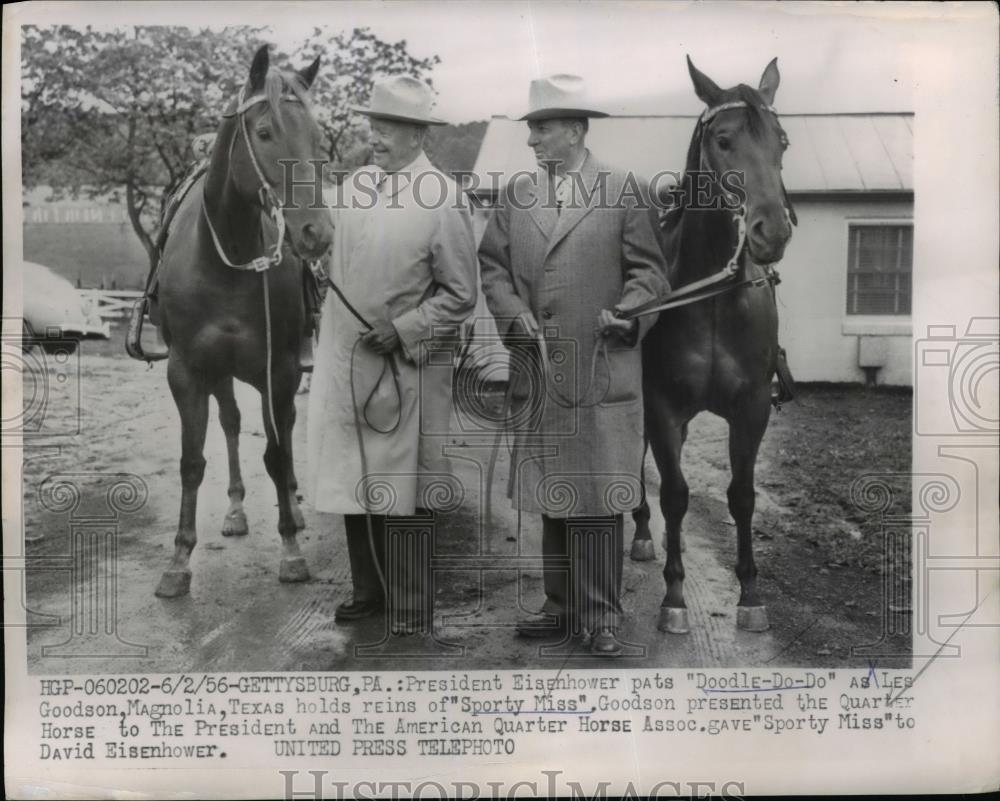 1956 Press Photo Pres.Eisenhower pats Doddle-Do-Do, Leo Goodson hold Sporty Miss - Historic Images