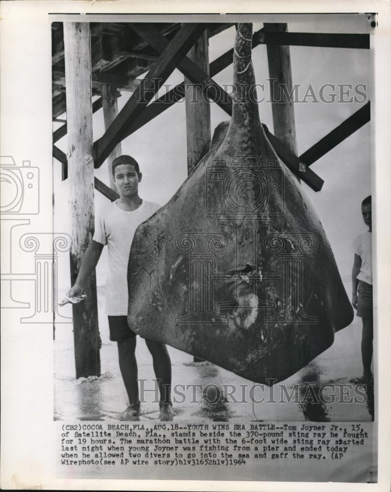 1964 Wire Photo Tom Joyner stands beside the huge sting ray he fought for hours - Historic Images