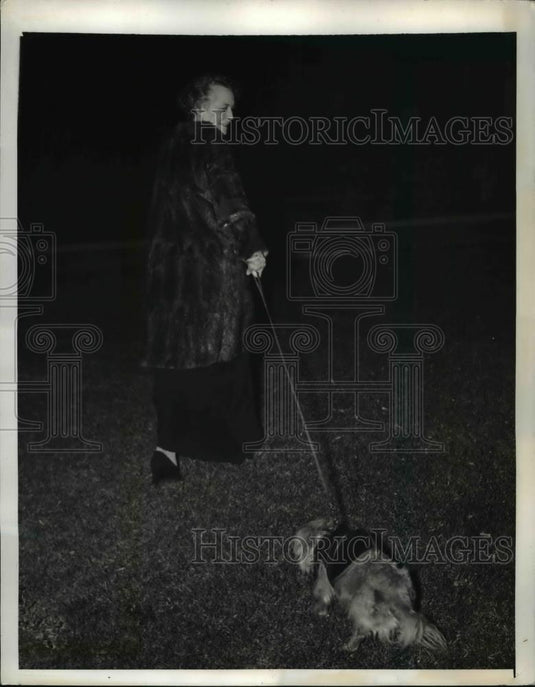 1941 Press Photo Chinese Pekinese dog named Togo at Washington DC embassy - Historic Images