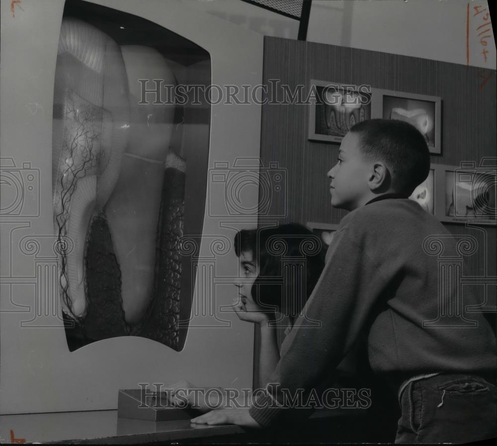 1964 Press Photo Madeline Drexler &amp; Ted Koppel at Cleveland Health Museum - Historic Images