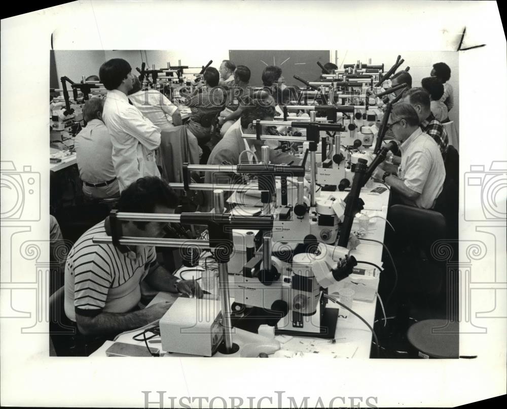 1982 Press Photo Microsurgeons at Mt Sinai Hospital - cva92241 - Historic Images